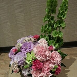 桌上型盆花